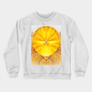 Parabolic Crewneck Sweatshirt